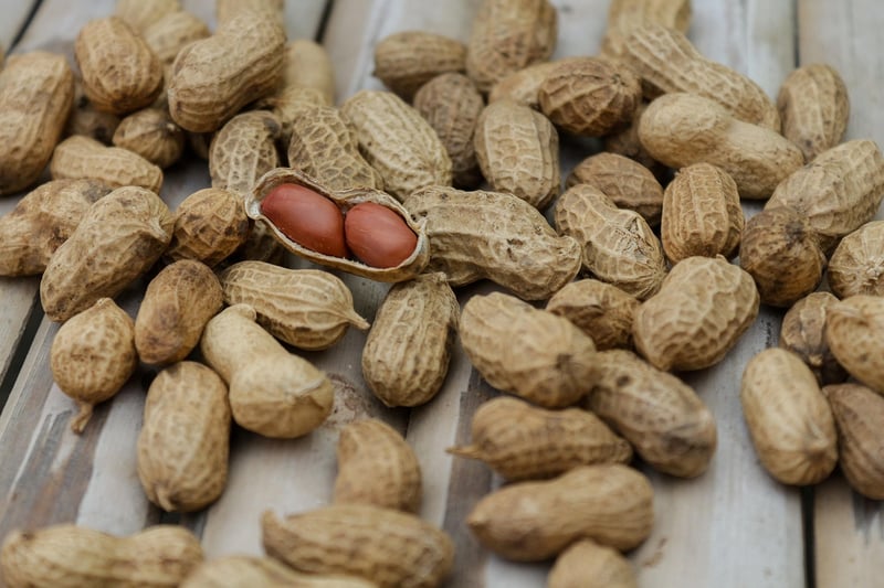 Crave-worthy Snacks